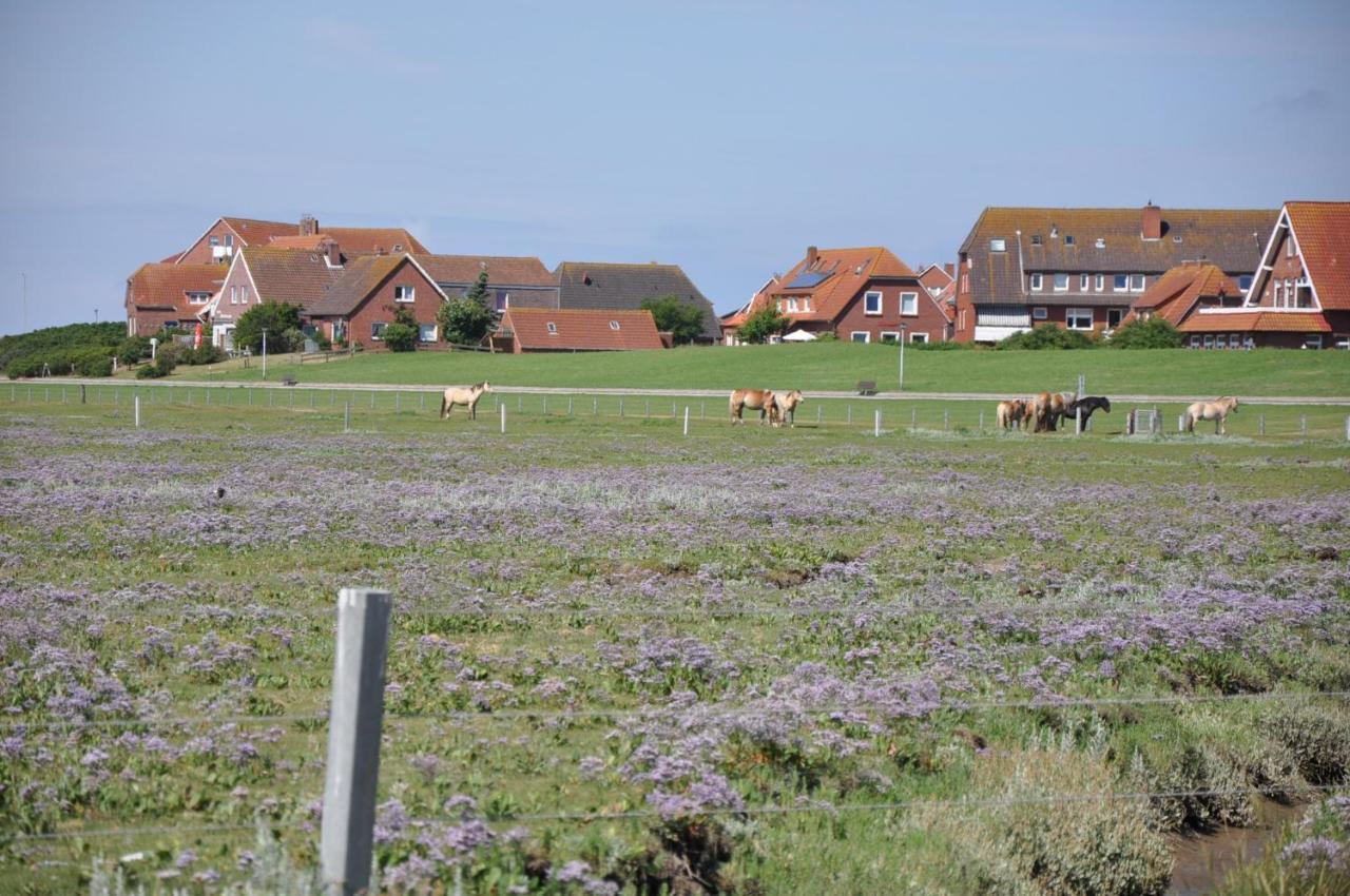 Seevilla Wietjes Whg 6 Baltrum Exterior foto